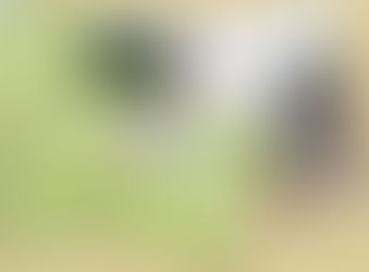 Die Region erwandern