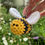 Thumbnail: Crochet a Bee  - Monday 15th September 7-9pm