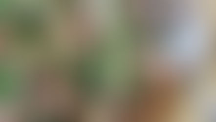 Slow Dance Perfection