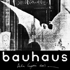 La Bauhaus è una rock band post-punk