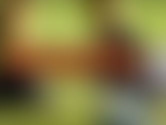 IL NUOVO VIDEO DI SONNY WILLA
SI CHIAMA “RONALDINHO”
