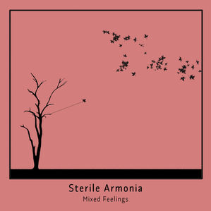 Mixed Feelings –Acoustic Duo. Sterile armonia