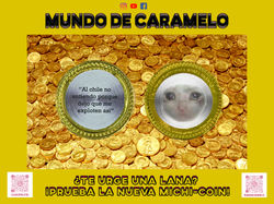 Michi Coin Chocolate