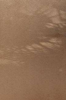 kaboompics_shadows-of-exotic-palms-a-warm-toned-collection-neutral-backgrounds-31073.jpg
