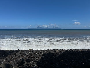 IMG_4234.jpeg