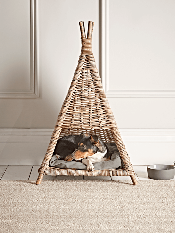 Pawsome Pet Decor Ideas
