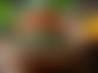 Ayurvedic PCOD Remedies: Natural Solutions for Managing PCOD