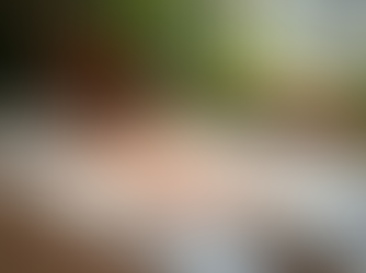 Comic Book Advocacy: Amplifying Stories of Homelessness and Disabilities