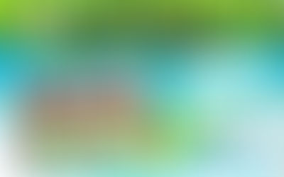 文林銀行計劃