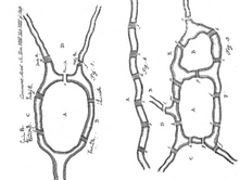 REVIEW: New Music by Emily Howard and PRiSM