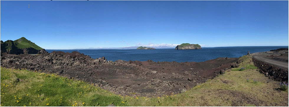 The quiet beauty of Vestmannaeyjar today. Susan Huff photo