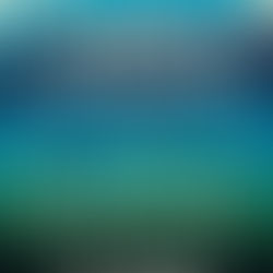 Book Club's 2026 Line Up Announced