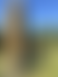 My 2024 Snorri Adventure