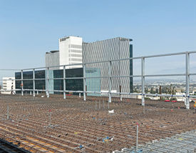 Project Progress Loma Linda University Children's Health Specialty Clinics