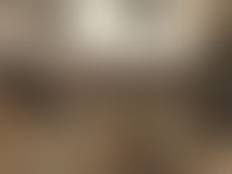 TYMO - PURGE & RESET (2017)