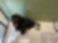 IMG_8559.jpeg