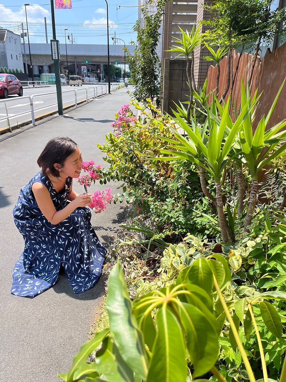 花と交流ocio
