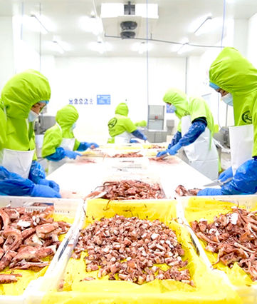 Alimentos Altamar 02