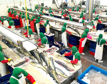 Alimentos Altamar 12