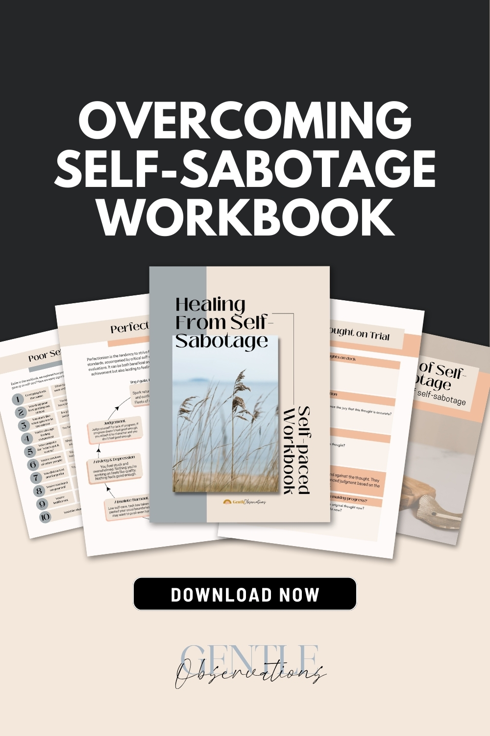 Self-Sabotage Workbook