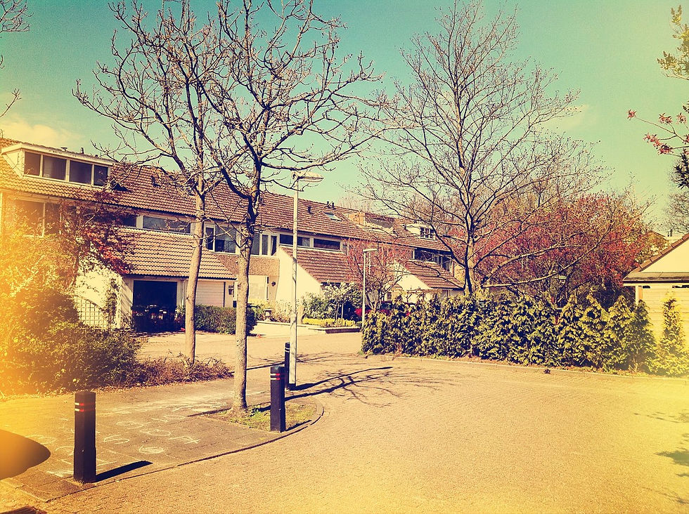 Populierendreef