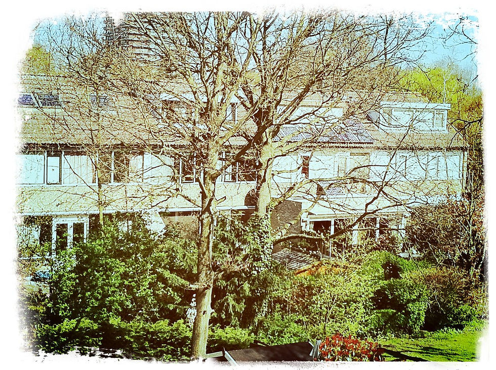 Uitzicht