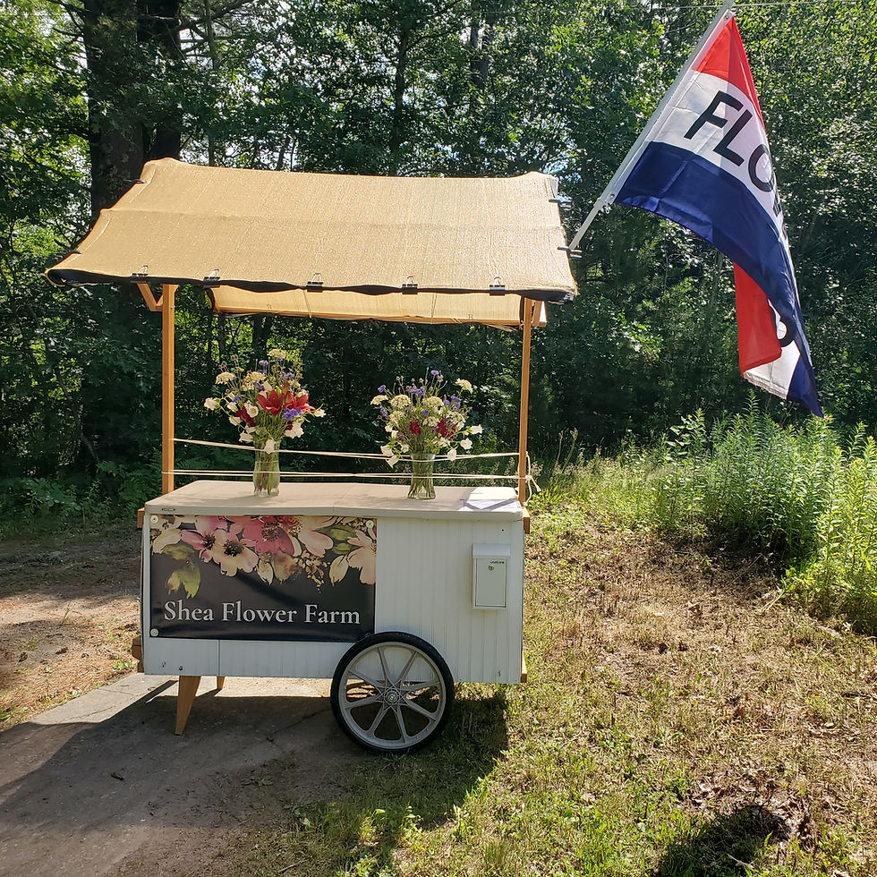 Flower stand is open!