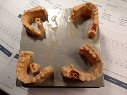 IMG_20211022_060143097