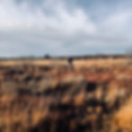 Peat bog in Co. Roscommon, Ireland