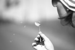 IMG_0854