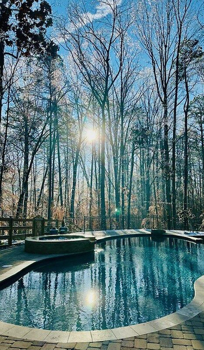 Free Form Pool and Spa
