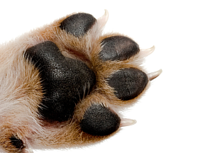 image 54.png