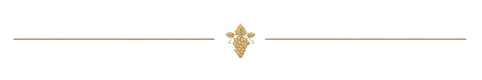 c9134c99-0941-402d-aafa-b3e0d812ee09.webp