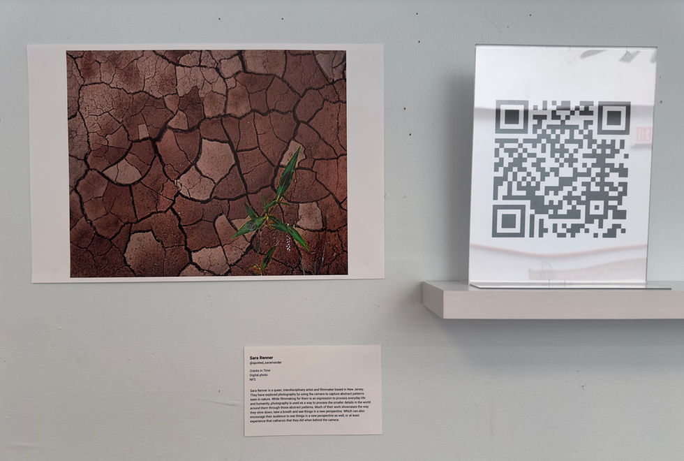photo of Beyond the HERE and NOW: Originals and Reproductions exhibition, Sara Renner "Cracks in Time"