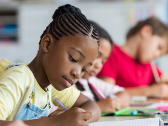 Matrículas da Rede Municipal: Ensino Fundamental e PEJA-transferência interna