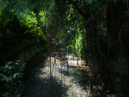 O rio que transportava Pedras