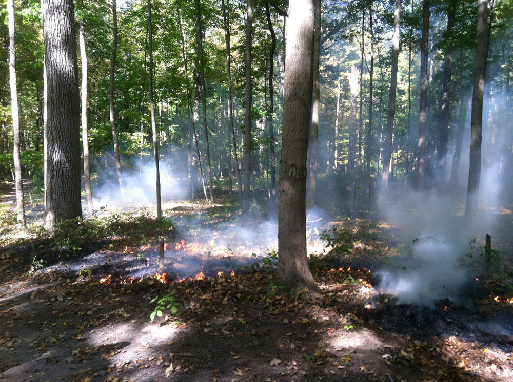State of Change Habitat Disturbance in Glen Helen