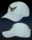 Skykings Denim Falcon Hat