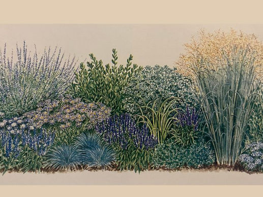 Planting Plan no. 1: Sunny Perennial Border