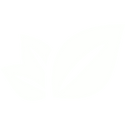 threeplantleaves_white_transparent.png