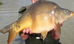 80203105_156027482469990_371148595149982