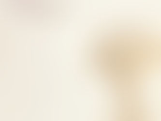 2025/12/8 Harumi 4th Album「Venus」 配信リリース!!!