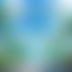 2026/06/29 JP NeM Network Seasonal Edition – SUMMER 2026〜New Music Re:Radiance〜 配信リリース！！！