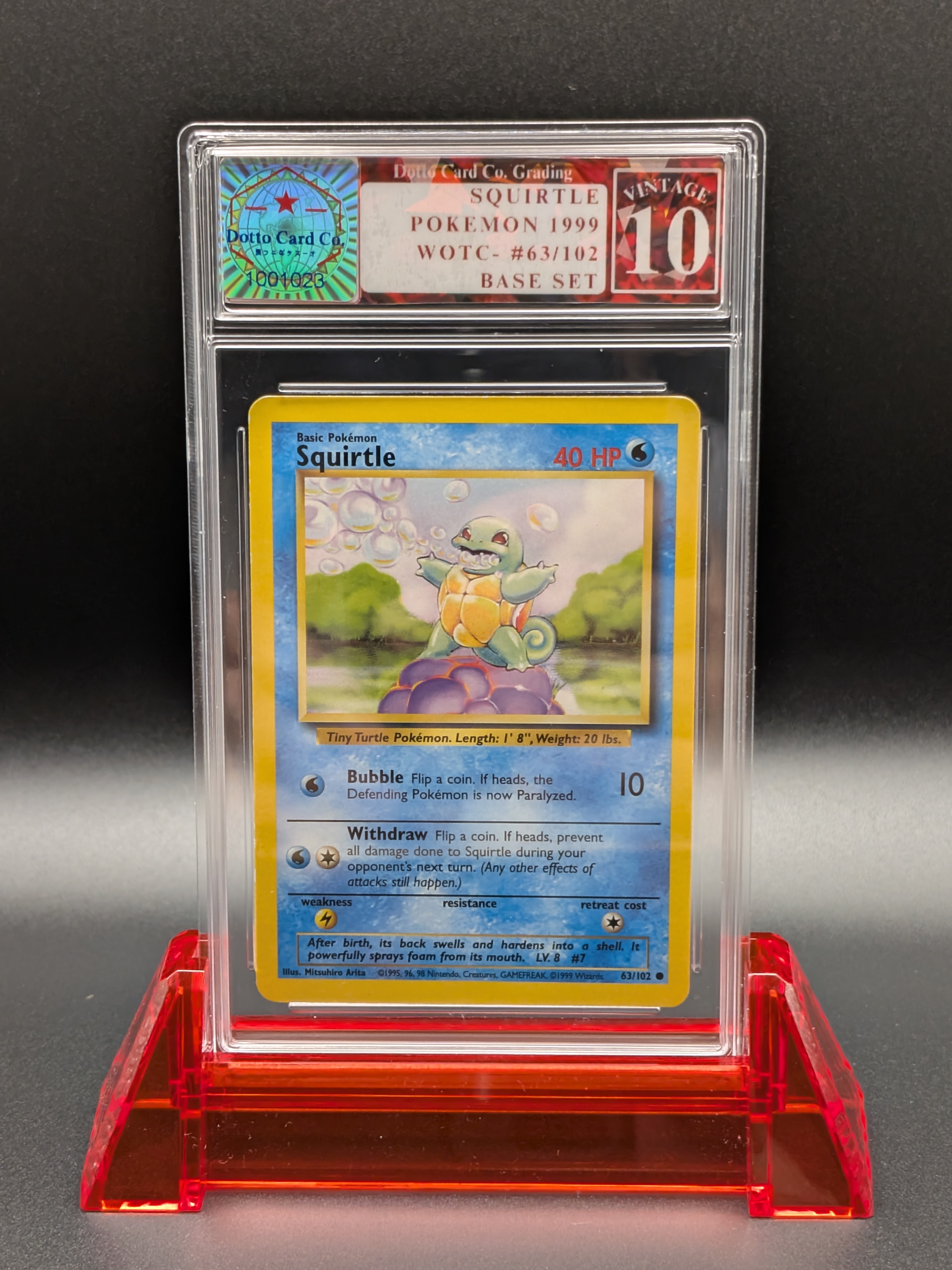 Squirtle — front
