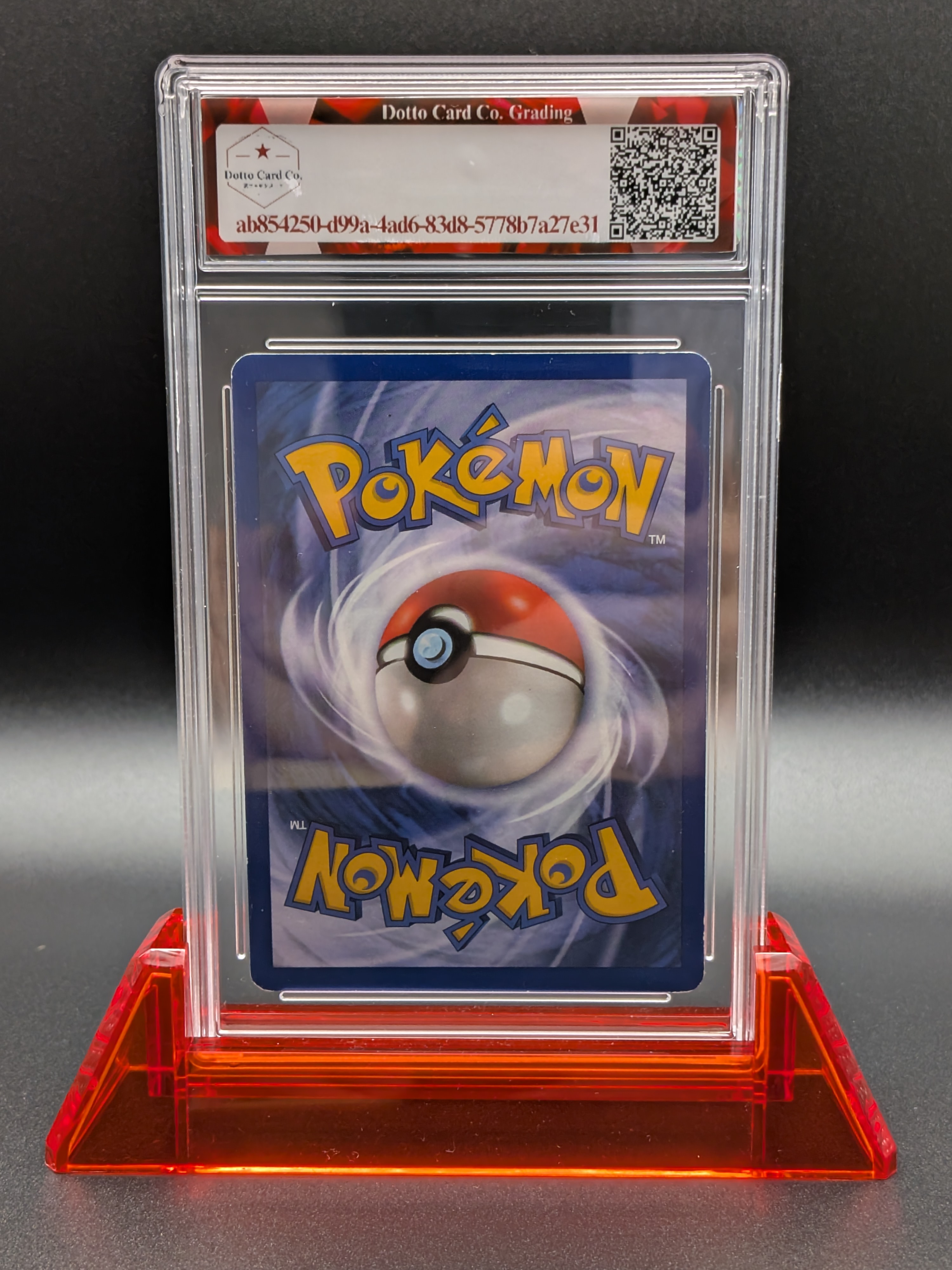 Squirtle — back