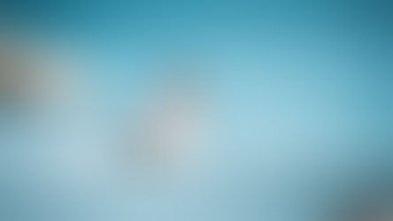 YPI CREW Yacht Jobs January 2021