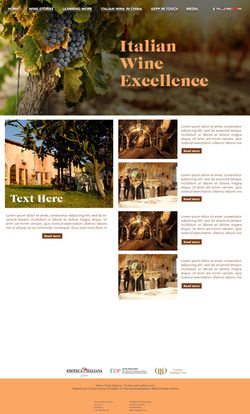 Enoteca Italiana Homepage B