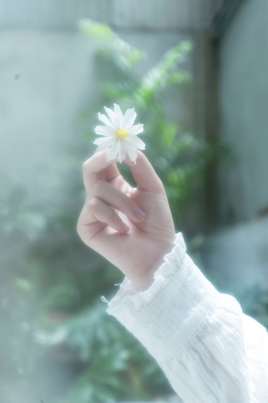 為春日蒙上紗-9.jpg