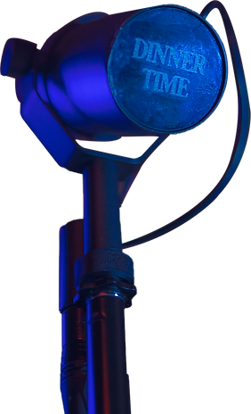 Ionit Studios Dinnertime IOTV Shure SM7B Microphone