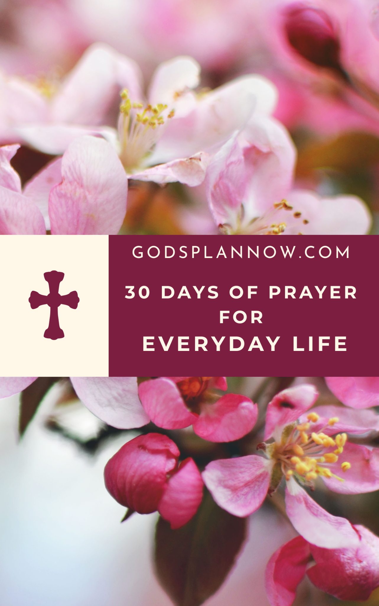 30 Days of Prayer — A Prayer Journey for Everyday Life